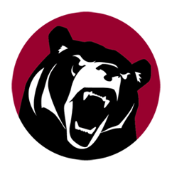 Lenoir-Rhyne Volleyball Camps